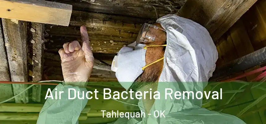  Air Duct Bacteria Removal Tahlequah - OK