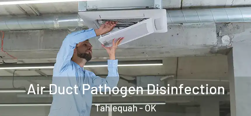  Air Duct Pathogen Disinfection Tahlequah - OK