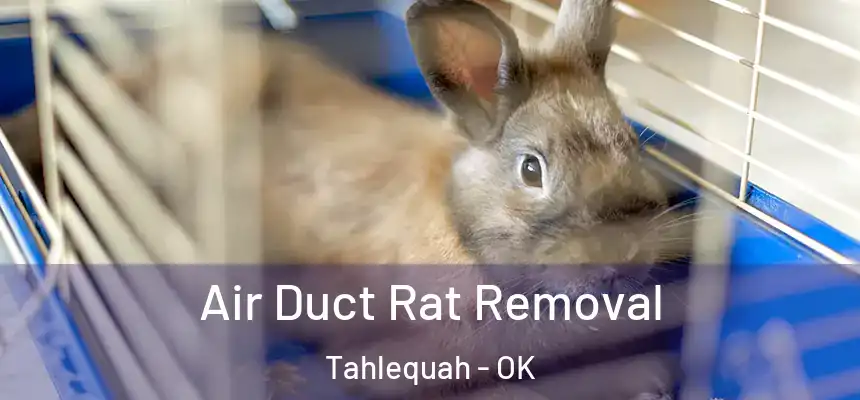  Air Duct Rat Removal Tahlequah - OK