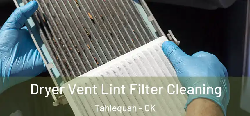  Dryer Vent Lint Filter Cleaning Tahlequah - OK