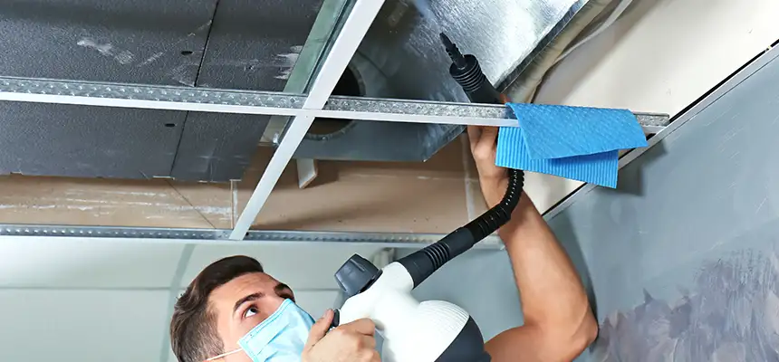 Our Air Duct Rodent Removal Services in Tahlequah, OK