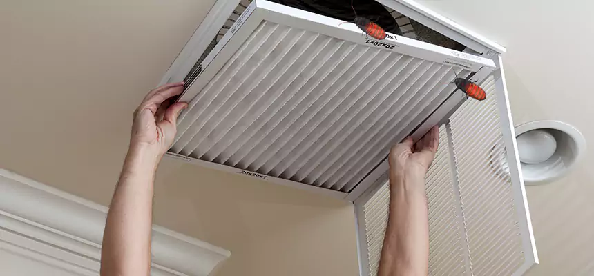 Our Insect Removal from Air Ducts Services in Tahlequah, OK