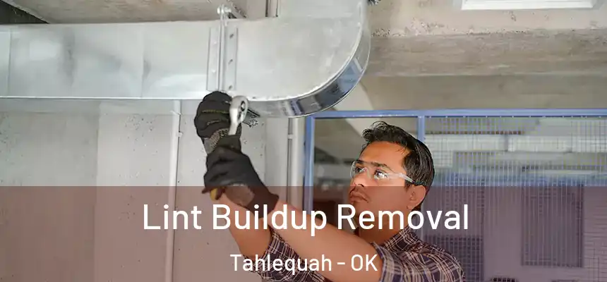  Lint Buildup Removal Tahlequah - OK
