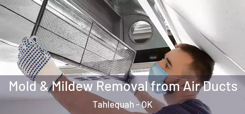  Mold & Mildew Removal from Air Ducts Tahlequah - OK