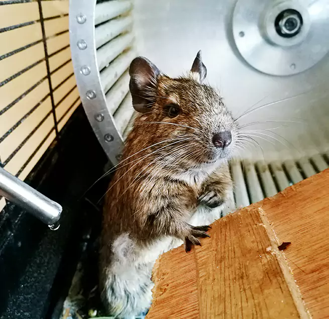 Why Homeowners & Businesses Trust Us Tahlequah, OK